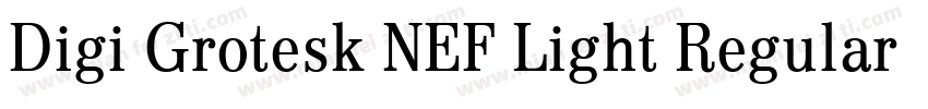 Digi Grotesk NEF Light Regular字体转换